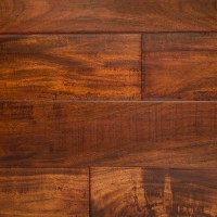 Acacia Carnelian CAC5CL