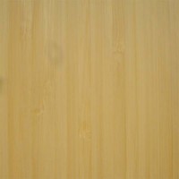 Bamboo Natural Vertical (BVN-2/3)