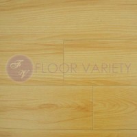 Ancient Beach VG1040