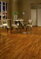 American Apple L3057