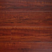 Ancient Cypress LADAC